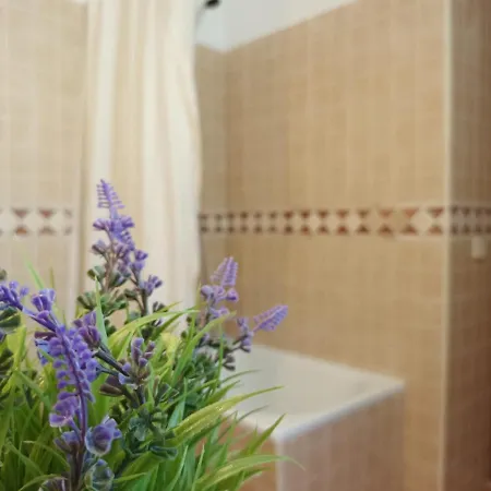 Un Tros De Sal. Casa Rural A Gerri De La Sal. Casa vacanze